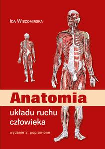 Anatomia ukadu ruchu czowieka - 2848939031