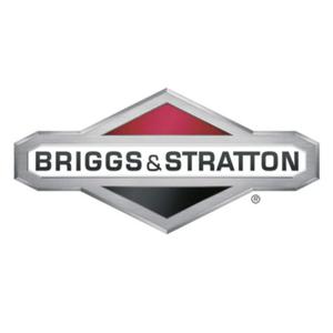 Tok Briggs & Stratton 696399 + .020 - 2872318876