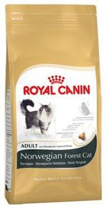 Royal Canin Norvegian Forest Cat Adult karma sucha dla kotw dorosych rasy norweski leny 2kg - 2856038205