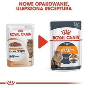 Royal Canin Hair & Skin Care karma mokra w galaretce dla kotw dorosych, lnica sier i zdrowa skra saszetka 85g - 2847482643