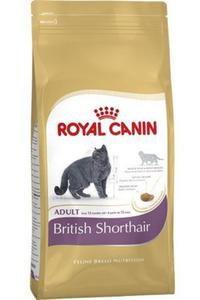 Royal Canin British Shorthair Adult karma sucha dla kotw dorosych rasy brytyjski krtkowosy 4kg - 2855550725