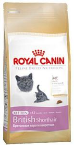 Royal Canin British Shorthair Kitten karma sucha dla kocit, do 12 miesica, rasy brytyjski krtkowosy 400g - 2855884981