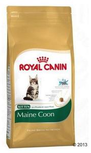 Royal Canin Maine Coon Kitten karma sucha dla kocit, do 15 miesica, rasy maine coon 2kg - 2856038257