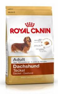 Royal Canin Dachshund Adult karma sucha dla psów dorosych rasy jamnik 1,5kg