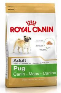 Royal Canin Pug Adult karma sucha dla psw dorosych rasy mops 1,5kg - 2855022019
