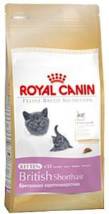 Royal Canin British Shorthair Kitten karma sucha dla kocit, do 12 miesica, rasy brytyjski...