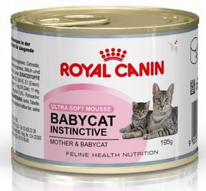 Royal Canin Mother & Babycat Mousse karma mokra - mus dla kocit i kotek karmicych puszka 195g - 2856327251