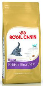 Royal Canin British Shorthair Kitten karma sucha dla kocit, do 12 miesica, rasy brytyjski krtkowosy 2kg - 2856545097