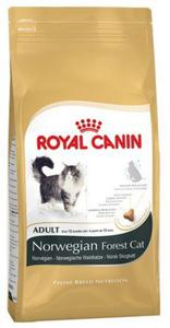 Royal Canin Norvegian Forest Cat Adult karma sucha dla kotw dorosych rasy norweski leny 400g - 2854607260