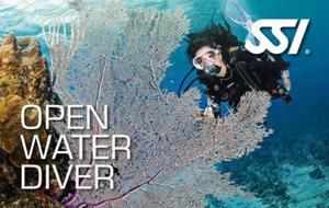 Kursy nurkowania Open Water Diver - 2850302368