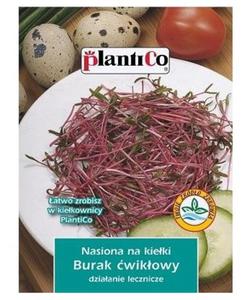 Nasiona na kieki - Burak wikowy 20g PlantiCo - 2832206771