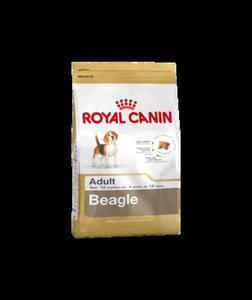 Karma dla psów Beagle Adult 3 kg Royal Canin