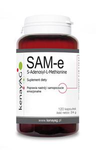 SAM-e S-Adenosyl-L-Methionine (120 tabl) - suplement diety - 2845147335