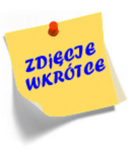 ywy hokej 2w1 Crosser - 2654407860