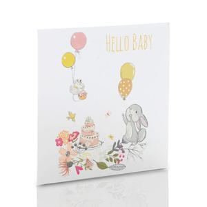 Obwoluta TS Hello Baby! (na pyt CD/DVD)