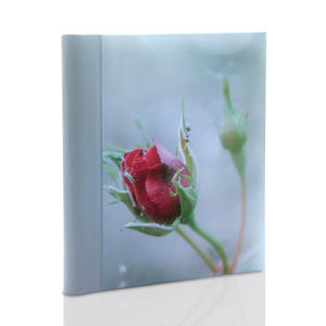 Album samoprzylepny Roses Bkit (60 stron pod foli) - 2875502644