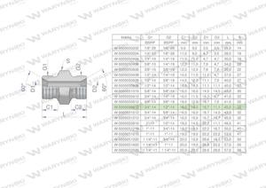 Zczka hydrauliczna redukcyjna calowa BB 1/2" x 3/4" BSP Waryski ( sprzedawane po 5 ) - 2876418241