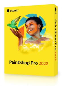 PaintShop Pro 2022 - 2873141902