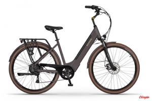 Rower elektryczny Ecobike X-City, Greenway 36V 13 Ah, 19", Coffee, 2023 - 2877382368