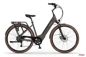 Rower elektryczny Ecobike X-City, Greenway 36V 14,5 Ah (522 Wh), 19", Coffee, 2023 - 2878136246