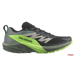 Buty Mskie Salomon Sense Ride 5 Czarno-Zielone - 2876529807