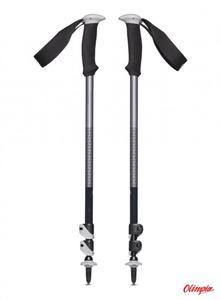 Kije trekkingowe Black Diamond Trail Sport Trek Poles - granite - 2877840278