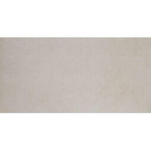 Isen Grey Natural Gres 50x100 - 2861408136