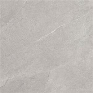 Terra Gris Gres Lappato Rektyfikowany 60x60 - 2876529901