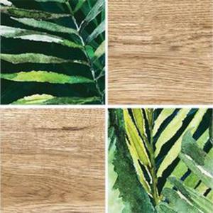 Tropic Oregon Mozaika 24,8x24,8 - 2870350682