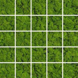 Green Moss Mozaika 24,8x24,8 - 2870350690