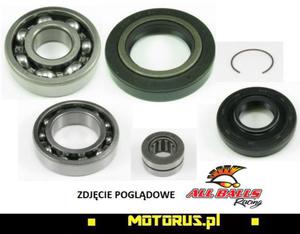 ALL BALLS zestaw naprawczy dyferencjau TYLNEGO POLARIS SPORTSMAN XP850 (09), XP550 ALL BALLS zestaw naprawczy dyferencjau TYLNEGO POLARIS SPORTSMAN XP850 (09), XP550 MOTORUS.PL - 2822461414