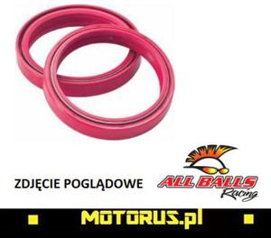 ALL BALLS uszczelniacze przedniego zawieszenia OLEJOWE ARI073 / ARI096C 33X46X11 MM ALL BALLS uszczelniacze przedniego zawieszenia OLEJOWE ARI073 / ARI096C 33X46X11 MM MOTORUS.PL - 2822462137