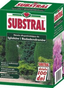 Nawz Substral 100 dni Iglaki 1kg - 2871983195