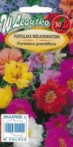 Portulaka wielkokwiatowa mix 0.5g SP - 2876959276