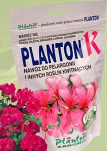 Planton Kwitnce - 2877066857