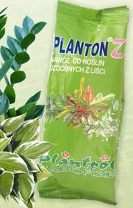 Planton Zielone - 2877786900