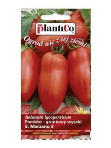 Pomidor San Marzano 3 0.2g Pl - 2871577631