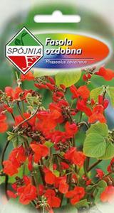 Fasola ozdobna Mix 10g SP - 2876959394