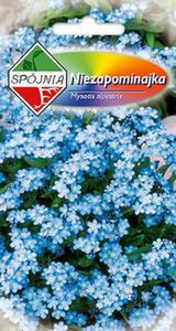 Niezapominajka alpejska 0,5g SP - 2874229872