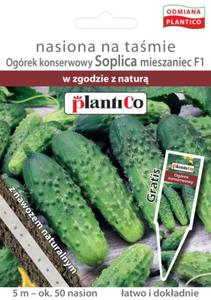 Ogrek Soplica F1 tama 5m ok. 50 nasion PL - 2876959430