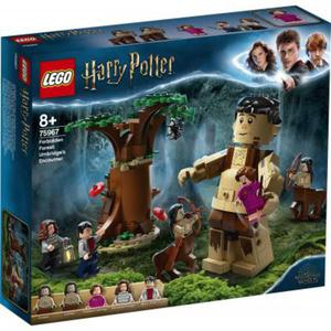 LEGO Harry Potter 75967 Zakazany Las spotkanie Umbridge - 2870199605