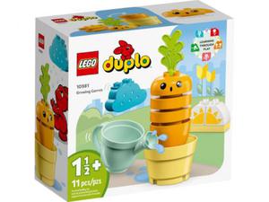 LEGO DUPLO 10981 Rosnca marchewka - 2873563747