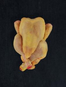 Baby kurczak, kukurydziany, ok. 450-500g/ szt, Francja - 2822712459