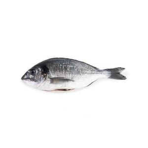 Dorada Royal, ÃÂwieÃÂ¼a, caÃÂa, 800g-1,2kg./...