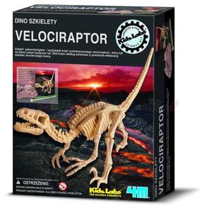 Wykopaliska - Dino szkielety - VELOCIRAPTOR - 2428998270