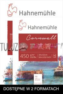 Hahnemuhle Cornwall szorstki 450 g/m2 10 arkuszy - 2832340737