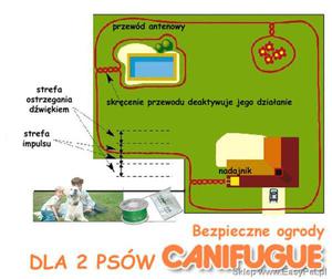 Niewidzialne ogrodzenie Canifugue dla 2 psw - 2827560102