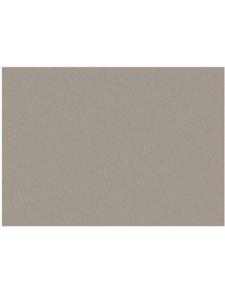 Papier-karton,szary, 50x70cm, 600g/m2, gr: 1.5mm [79-830-00] - 2846544909