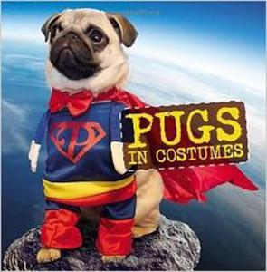 Pugs in Costumes (Humour) Mopsy - 2875654580