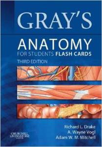 Gray's Anatomy for Students Flash Cards with STUDENT CONSULT Online Access, 3 edition - 2875656231